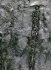 2002 [12] one minus silence