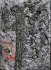 2002 [29] one minus silence