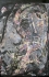 1991 [08] Face