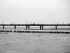 045-Meer
