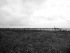 046-Meer