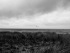 047-Meer
