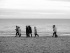082-Meer