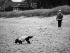 084-Meer