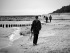 098-Meer