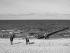 107-Meer