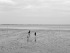 118-Meer